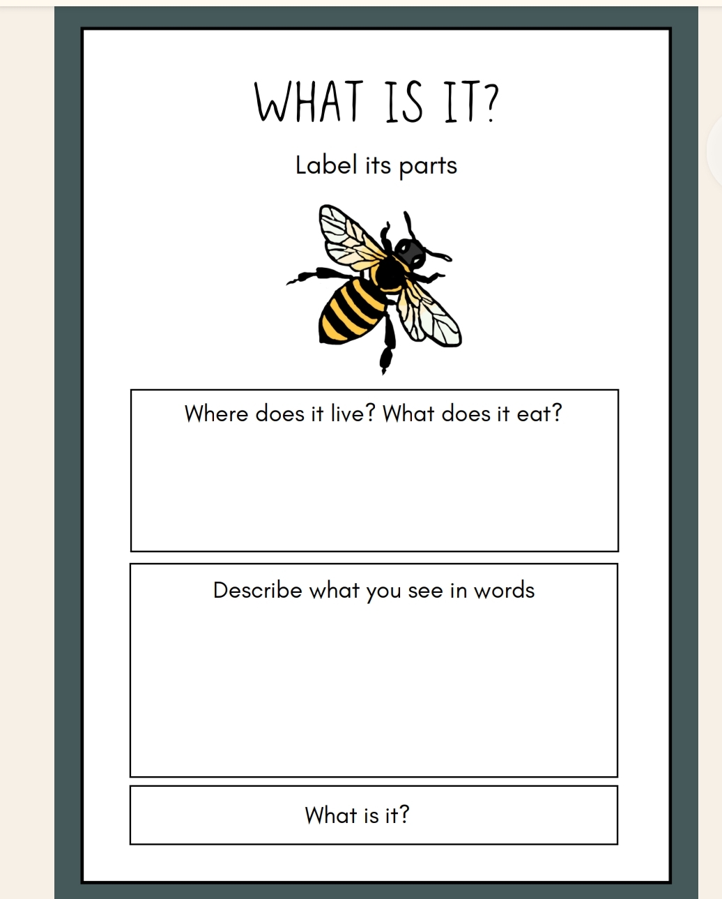 Winnie the Pooh and Some Bees Literature Guide