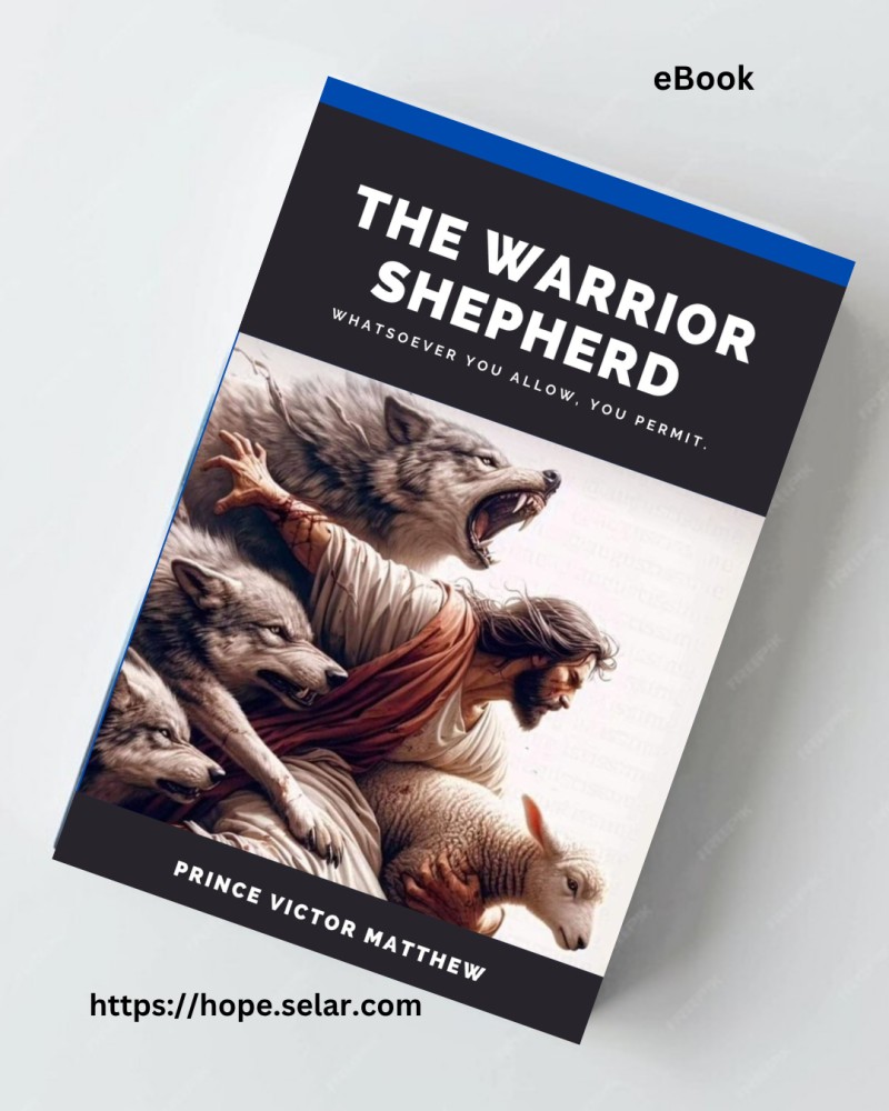 The Warrior Shepherd: What You Allow, You Permit