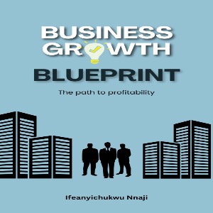 Business Growth Blueprints: The Easiest Financial Literacy Book For Entrepreneurs