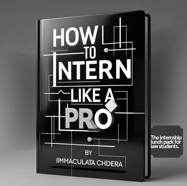 How To Intern Like A Pro By Immaculata Chidera