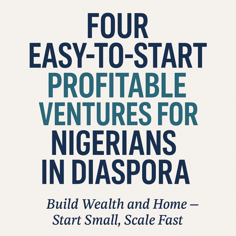 Investing Back Home: Four Easy-to-Start Profitable Ventures for Nigerians in Diaspora