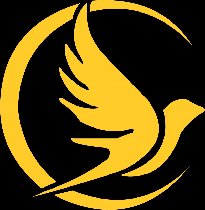 Intermediate Package (Mid-Tier Support)