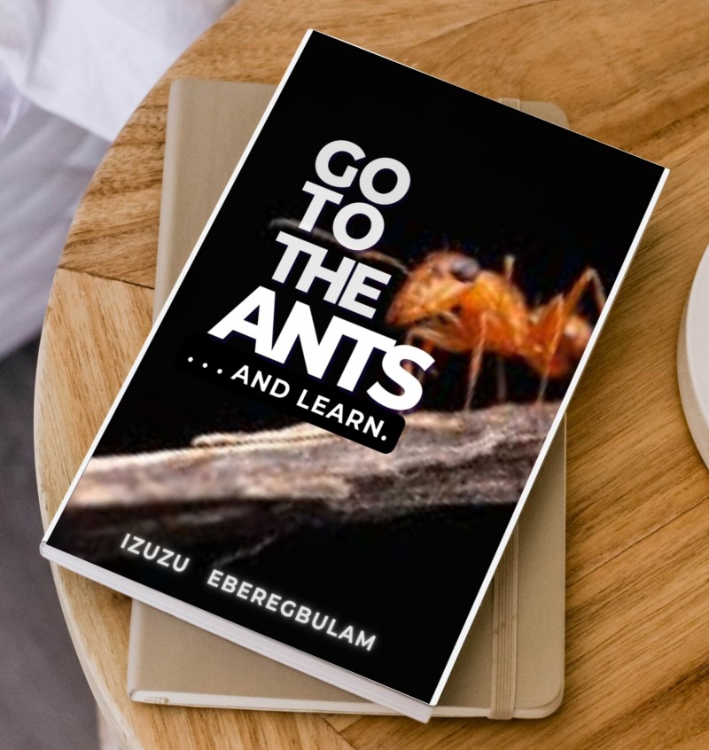 GO TO THE ANTS.... And Learn.