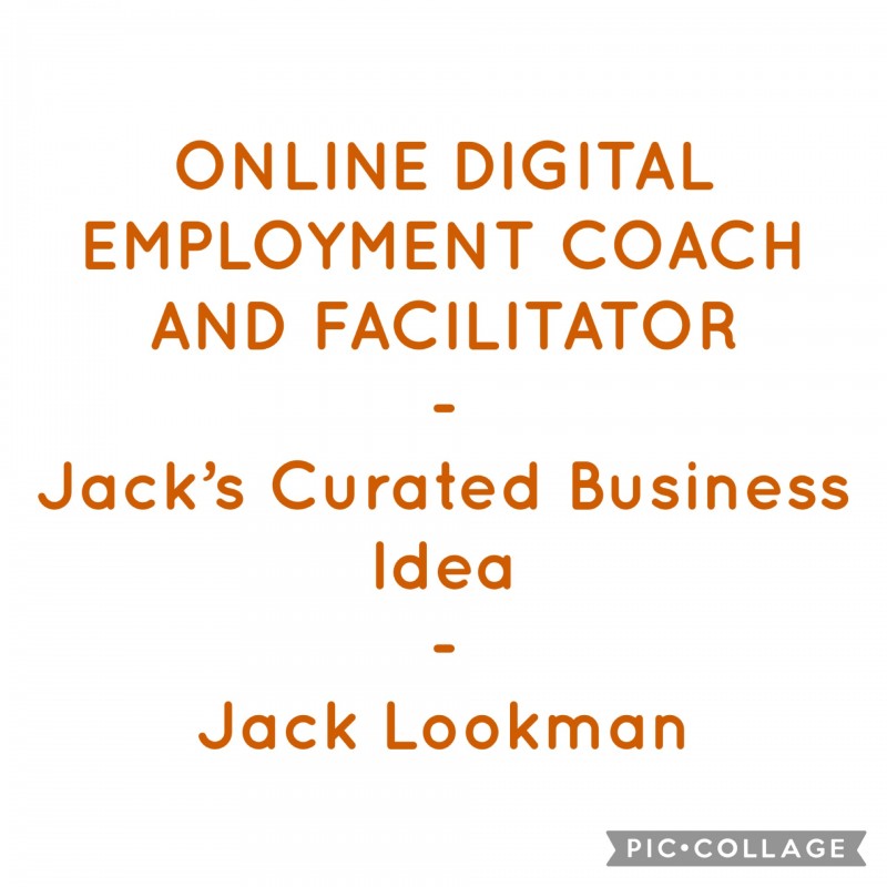 ONLINE DIGITAL EMPLOYMENT COACH AND FACILITATOR - Jack's Curated Business Idea - Jack Lookman