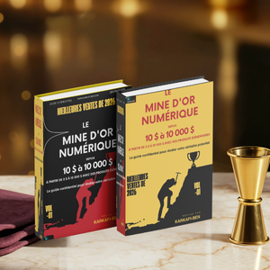 Le Mine d'Or Numérique
