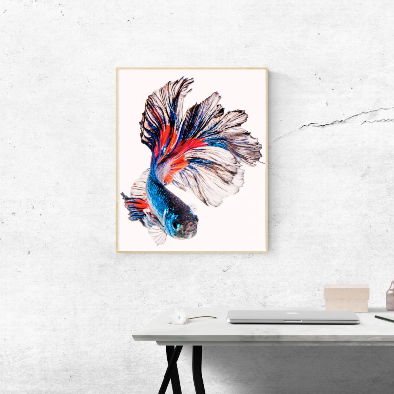 Betta Fish  Print, Printable Wall Art, Trendy Wall Art, Aesthetic Wall Art, Fish Wall Art