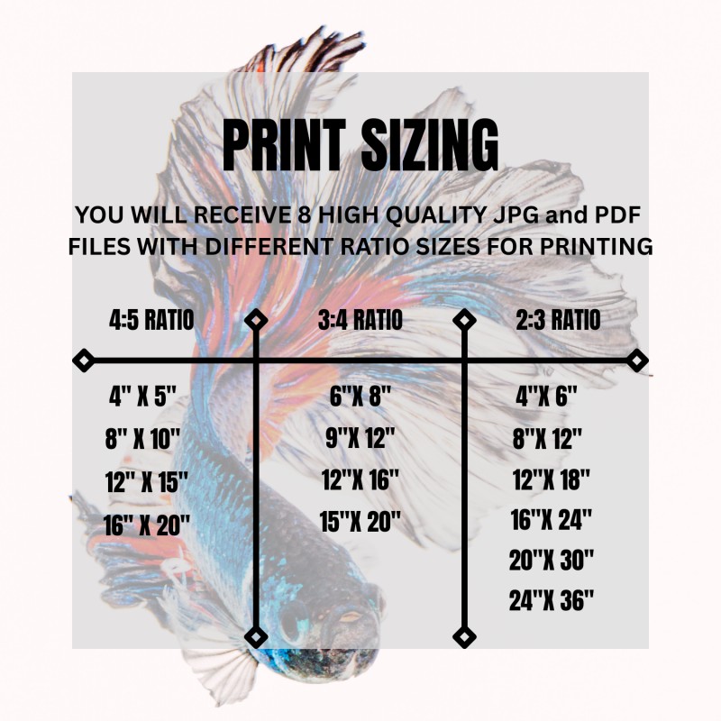 Betta Fish Print, Printable Wall Art, Trendy Wall Art, Aesthetic Wall Art, Fish Wall Art