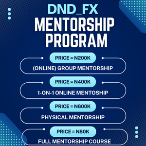 DnD_FX MENTORSHIP PROGRAM