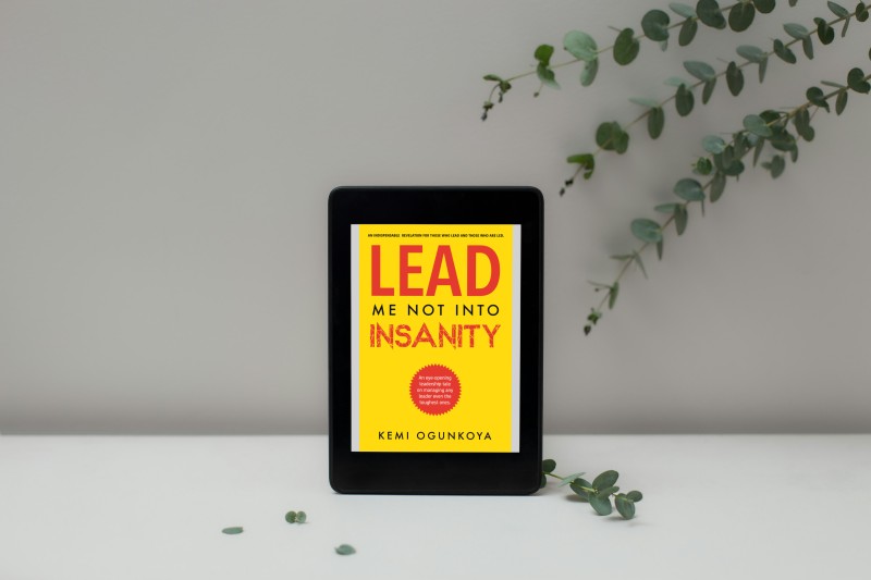 Lead Me Not Into Insanity (E-Copy)