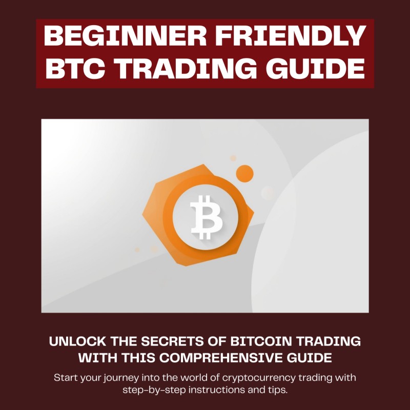 Beginner Friendly BTC Trading Guide