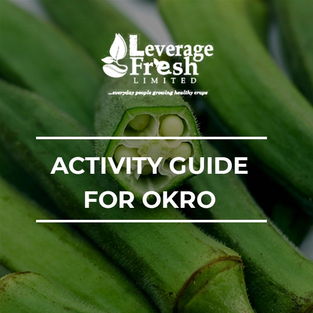 ACTIVITY GUIDE FOR OKRO