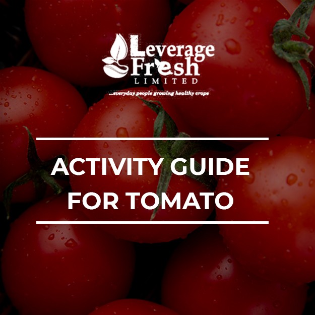 ACTIVITY GUIDE FOR TOMATO