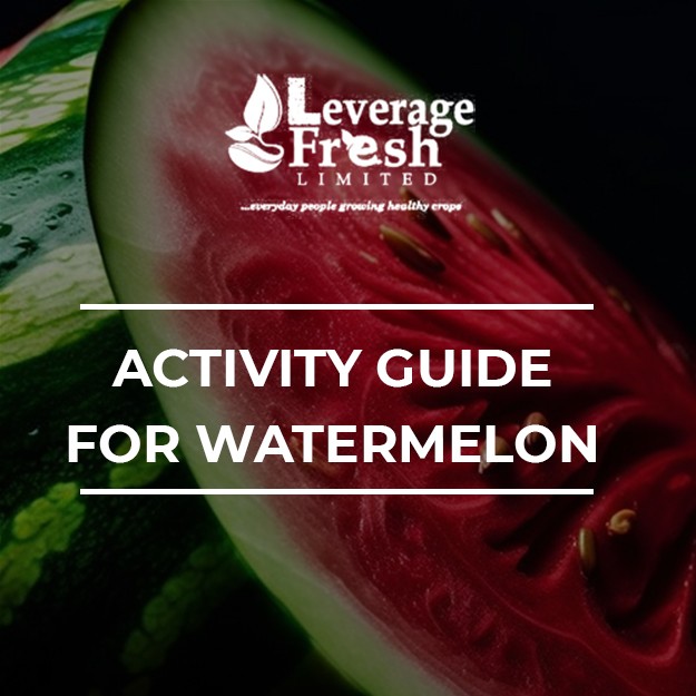 ACTIVITY GUIDE FOR WATERMELON