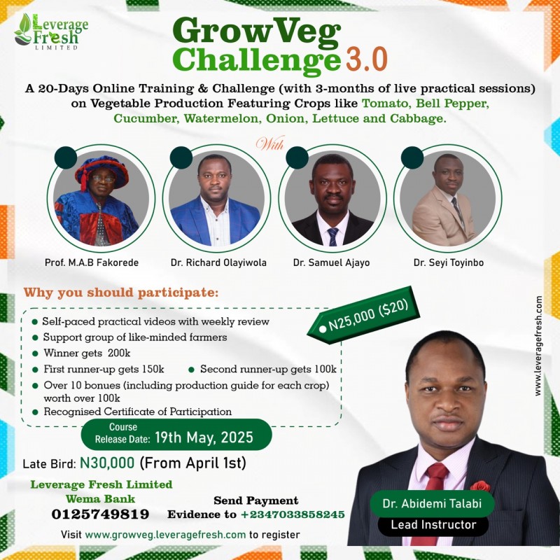 GrowVeg Challenge 3.0