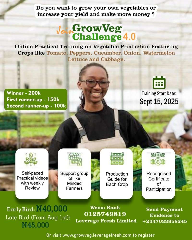 GrowVeg Challenge 4.0
