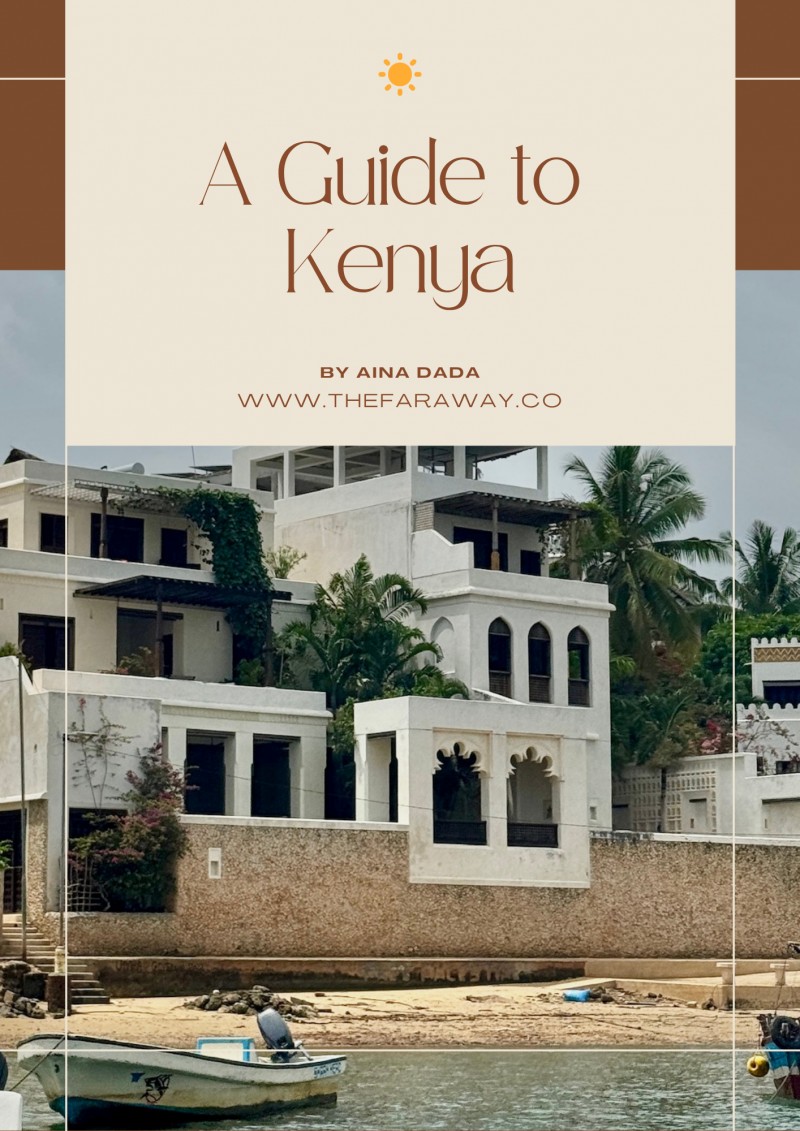 A Guide to Kenya