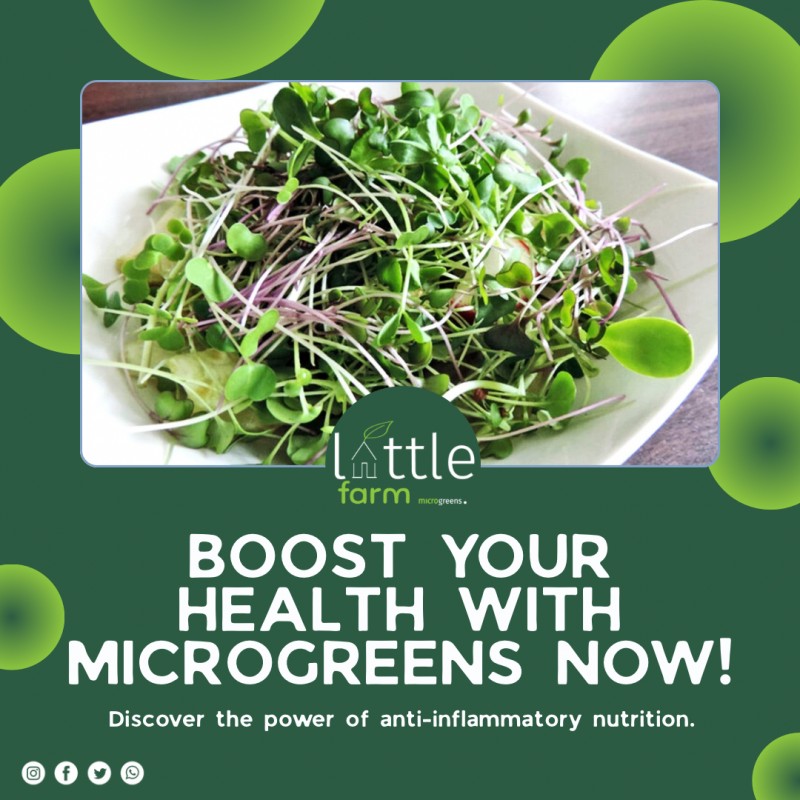InflameAway MicroBlend
