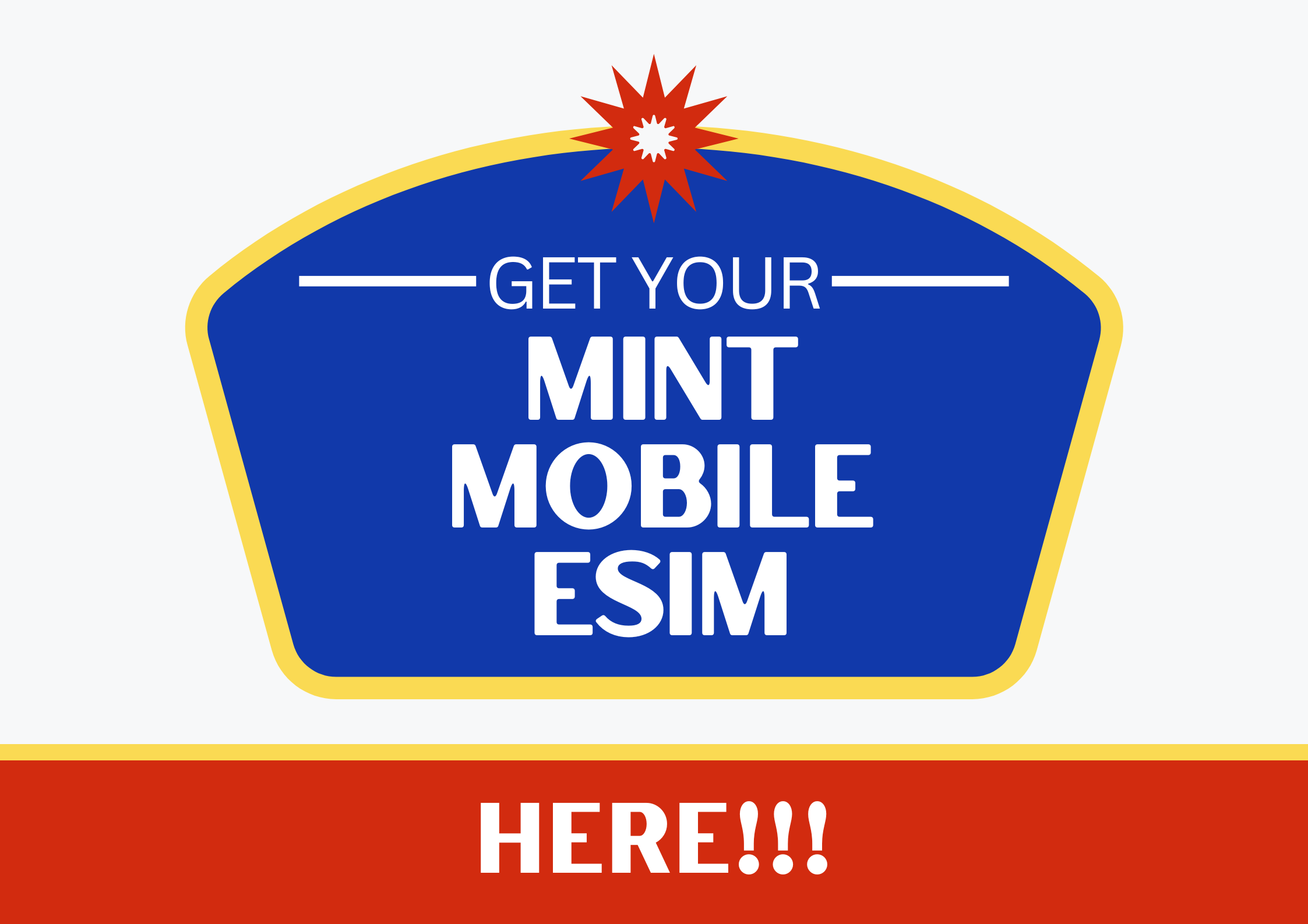 Unlimited Mint mobile eSIM