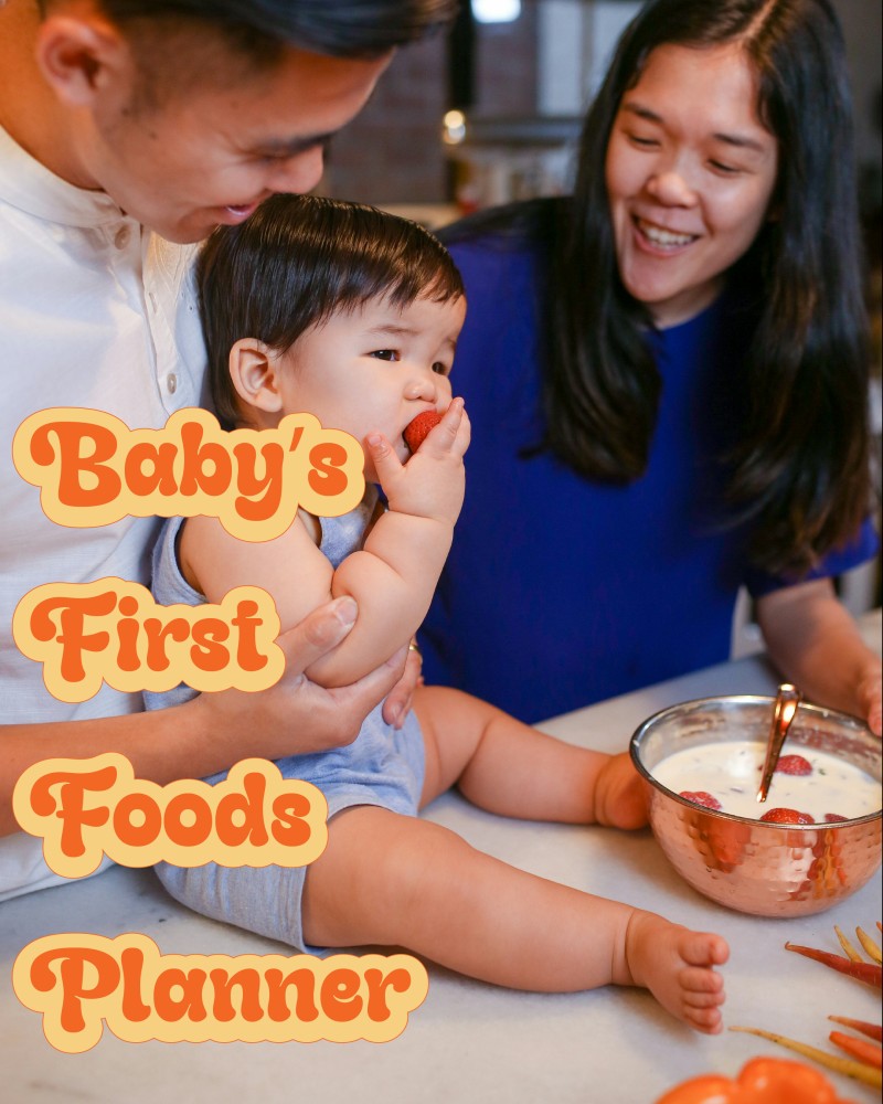 Complementary Feeding Meal Planner Bundle – Printable & Editable PDFs