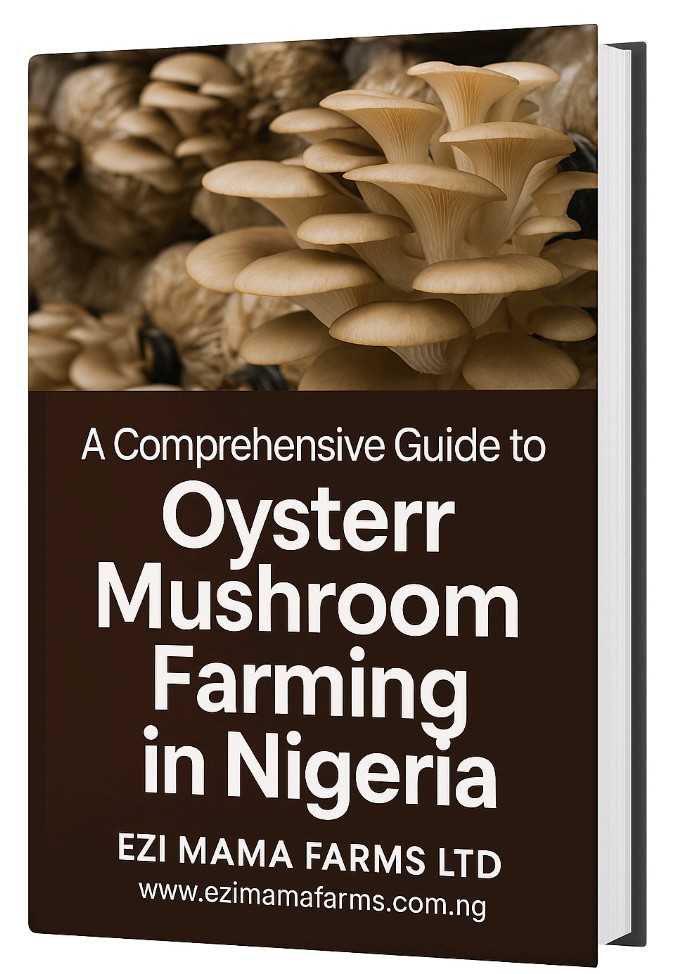 A Comprehensive guide to Oyster Mushroom Farming in Nigeria