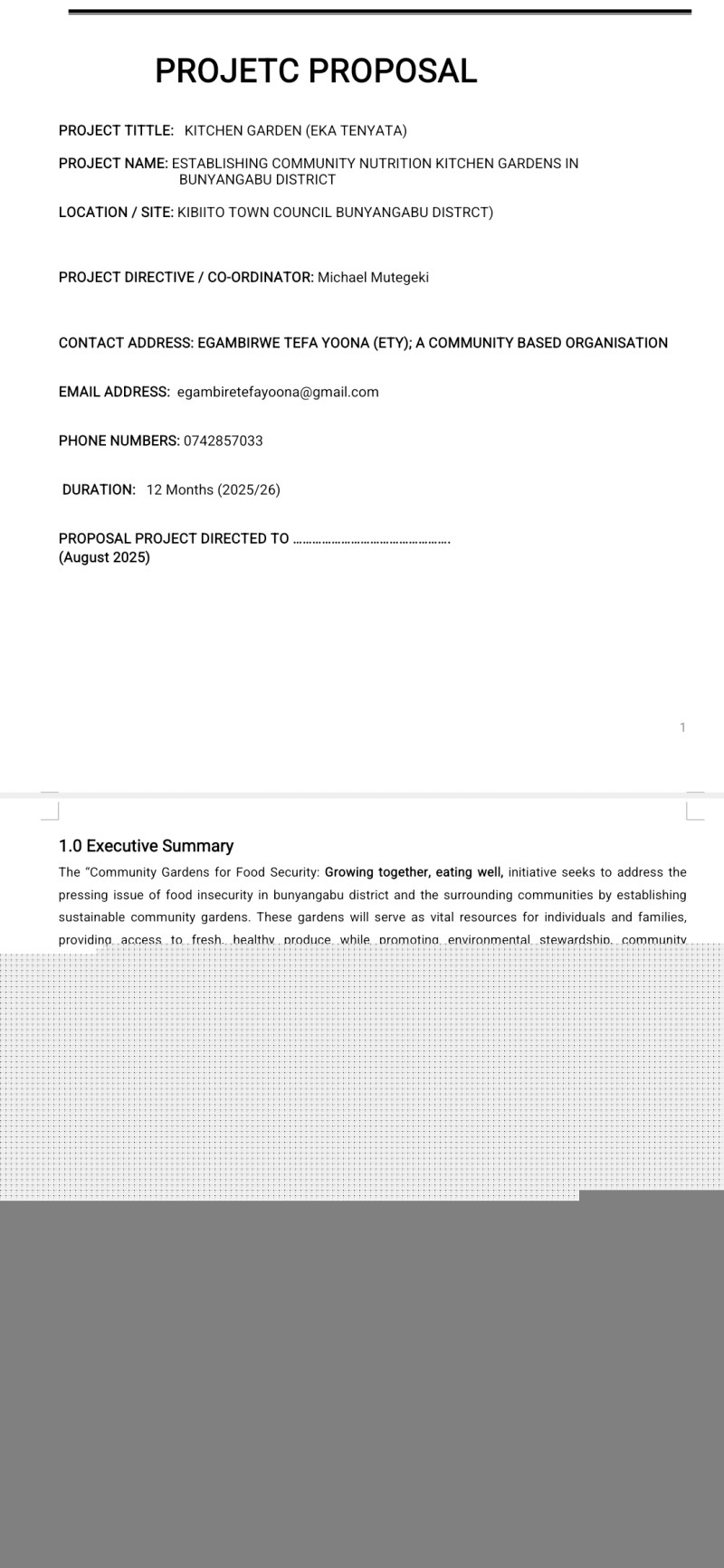 Project proposal