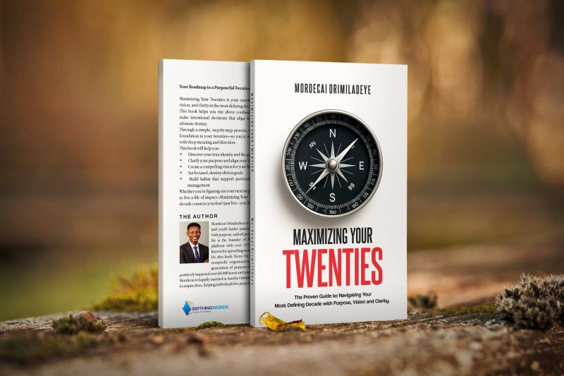 Maximizing Your Twenties (PAPERBACK)