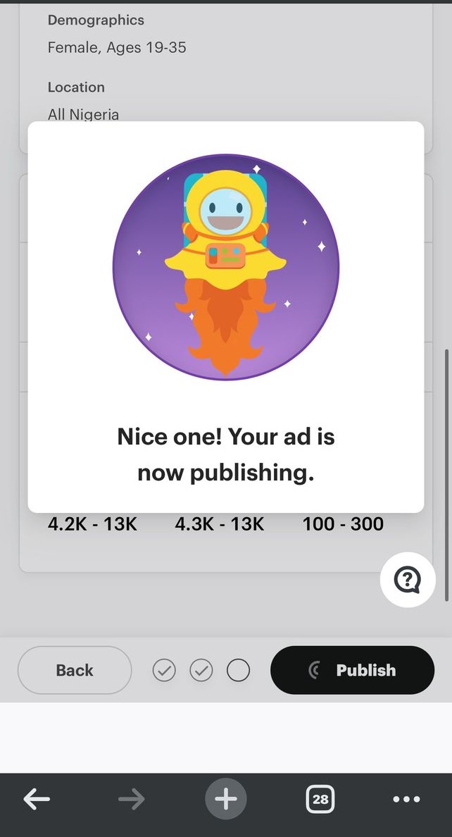 SNAP ADS ACCOUNT SETUP (Pro Package)