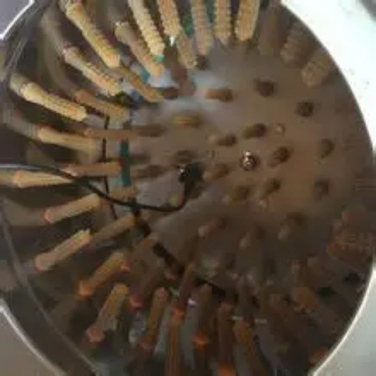 Chicken plugging machine poultry