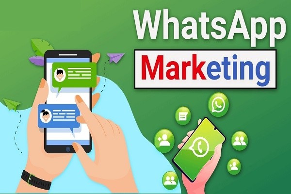 Whatsapp marketing course
