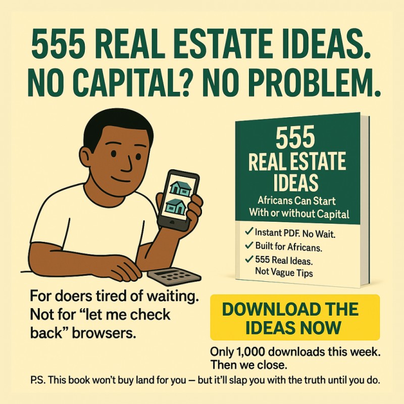 555 Real Estate Ideas Africans Can Start With or Without Capital