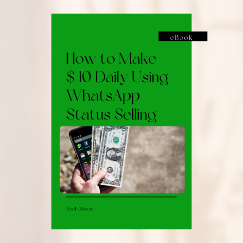 HOW TO MAKE $ 10 DAILY USING WHATSAPP SELLING.