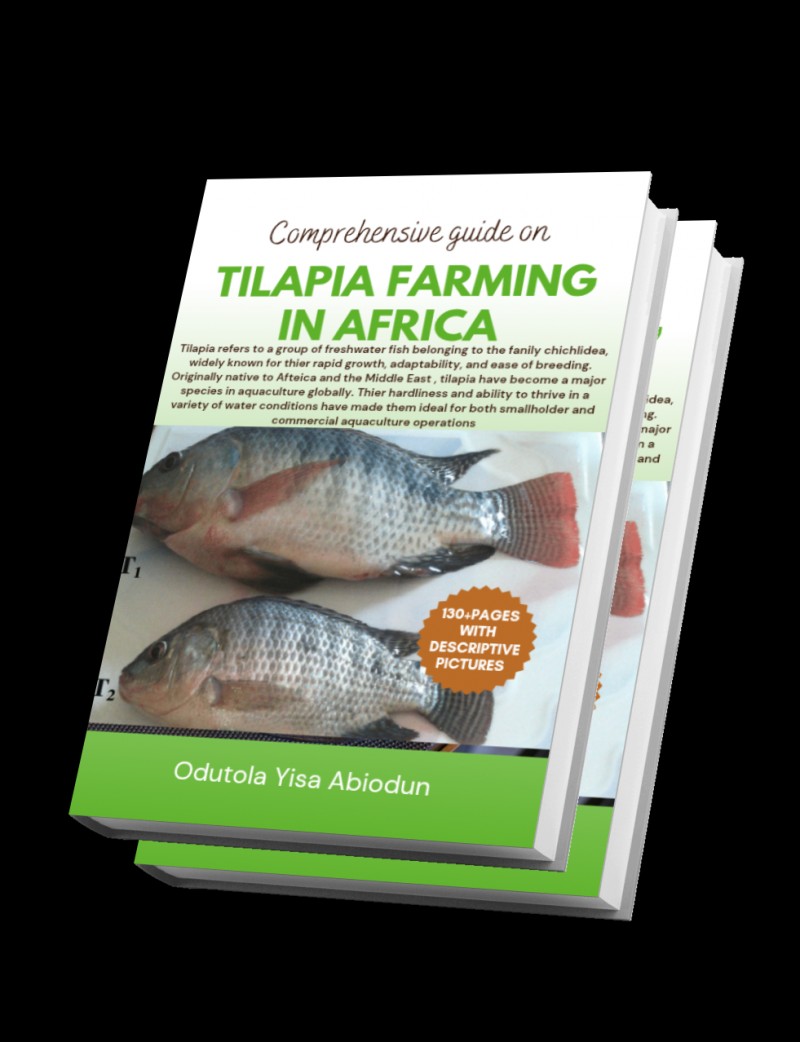 Comprehensive Guide on Tilapia Farming in Africa
