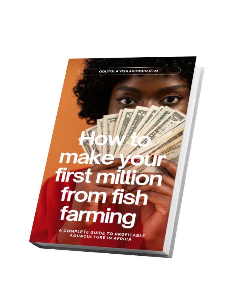 HOW TO MAKE YOUR FIRST MILLION FROM FISH FARMING