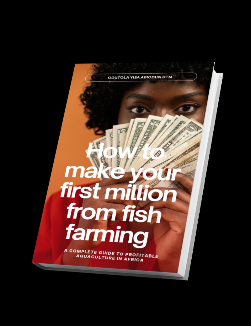 HOW TO MAKE YOUR FIRST MILLION FROM FISH FARMING