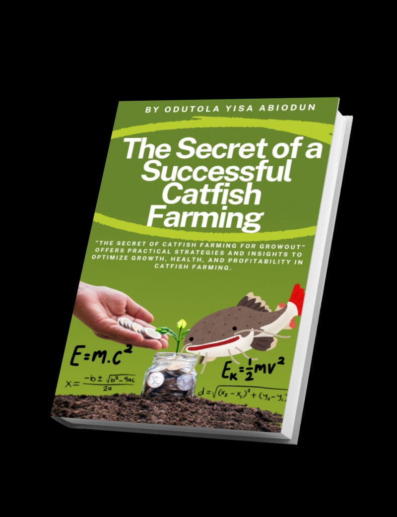 THE SECRET OF A SUCCESSFUL CATFISH FARMING