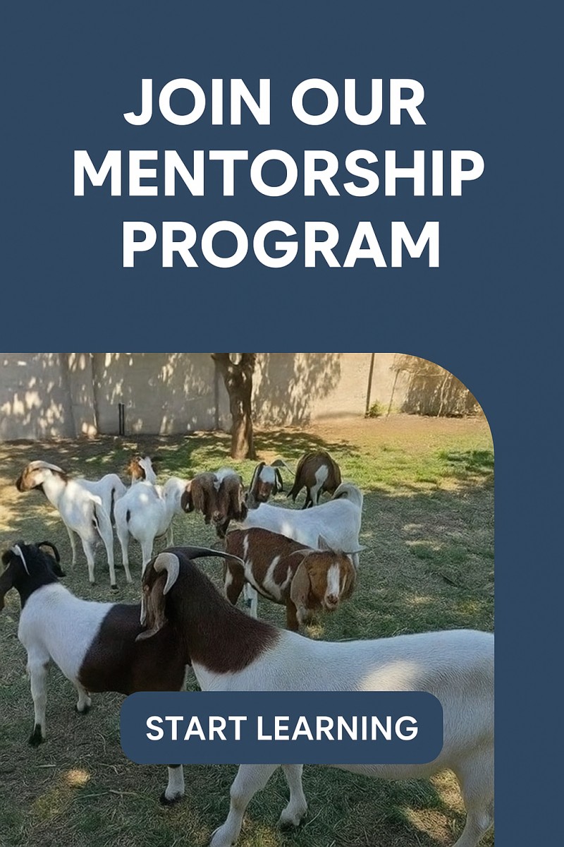 DOXAON (12 MONTHS )GOAT & SHEEP FARMING MENTORSHIP PROGRAMME