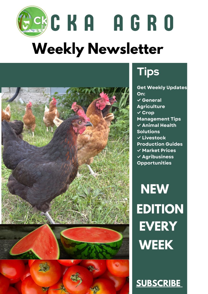 OCKA AGRO Weekly Agriculture Newsletter (Monthly Subscription)