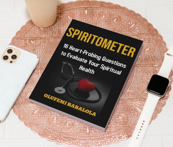 Spiritometer: 16 Heart-Probing Questions to Evaluate Your Spiritual Health