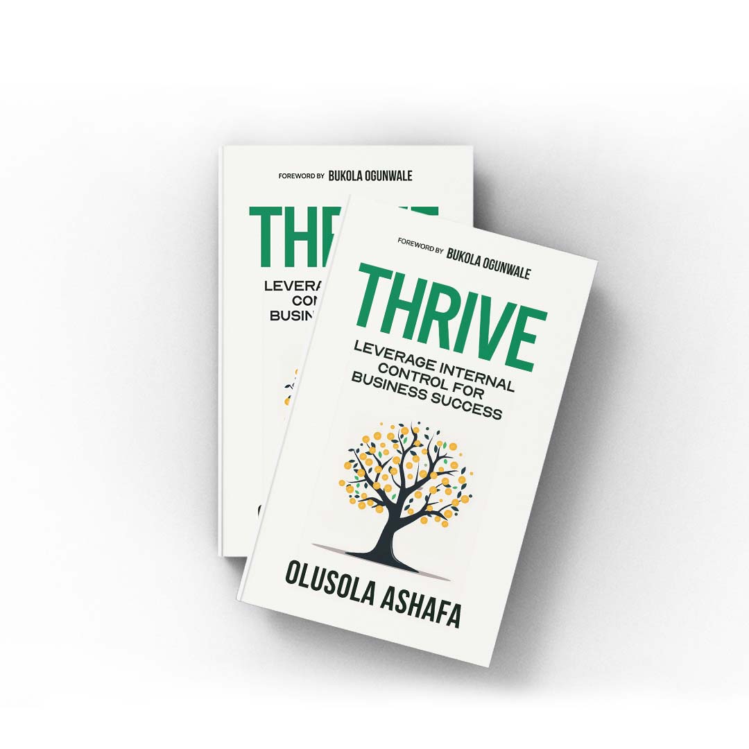 Thrive: Leverage Internal Control for Business Success (Snippet)