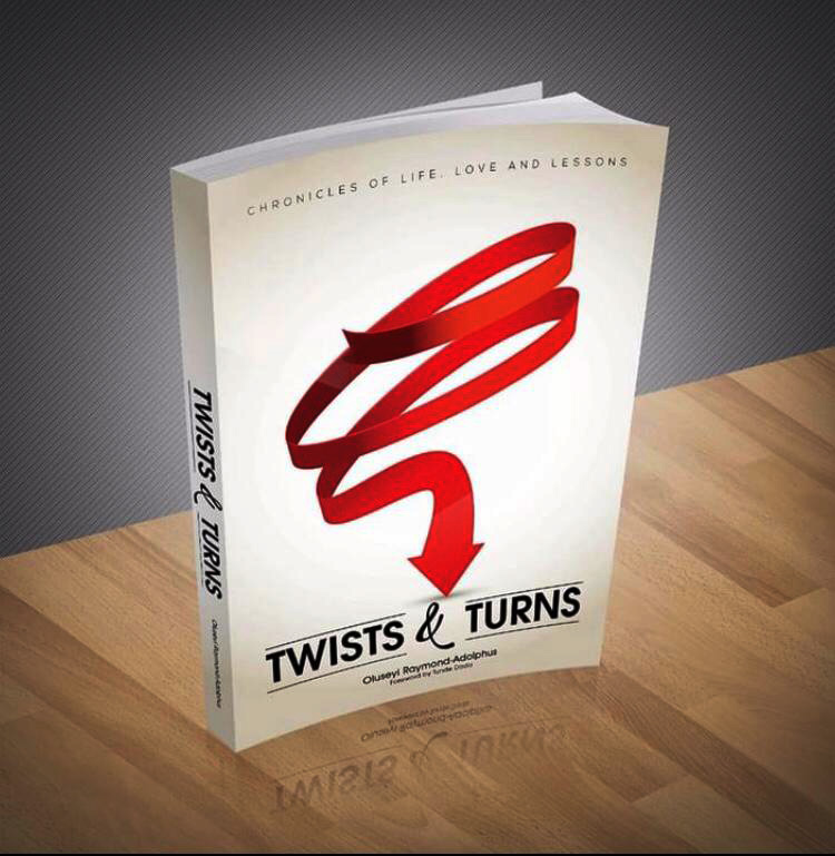 Twists &Turns (Chronicles of Life, Love and Lessons) E-Book