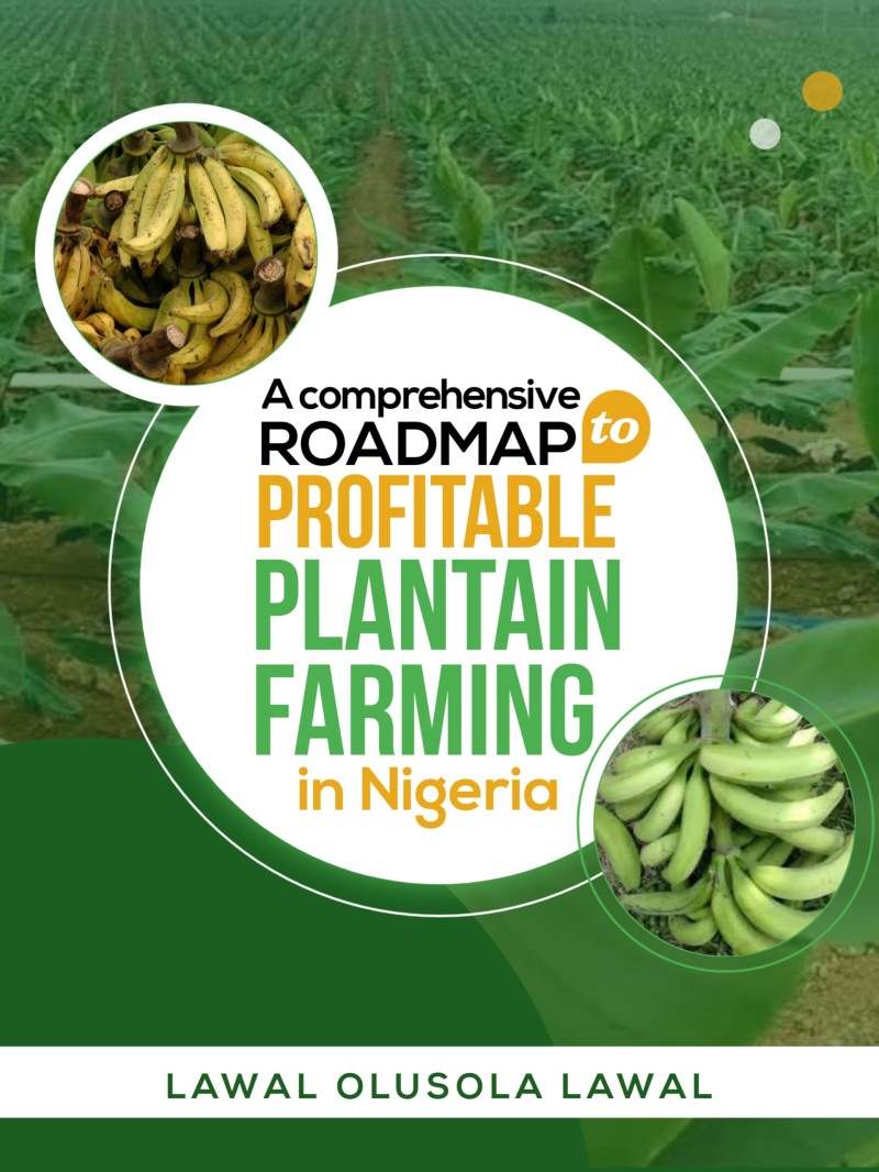 A COMPREHENSIVE ROADMAP TO PROFITABLE PLANTAIN FARMING IN NIGERIA