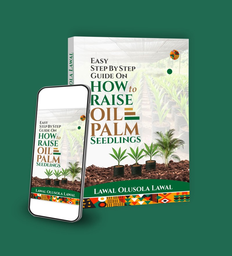 EASY STEP BY STEP GUIDE ON HOW TO RAISE OIL PALM SEEDLINGS
