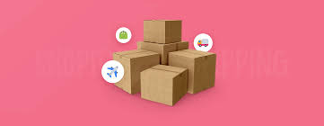 Zero to Millions: Start Dropshipping Today in Nigeria