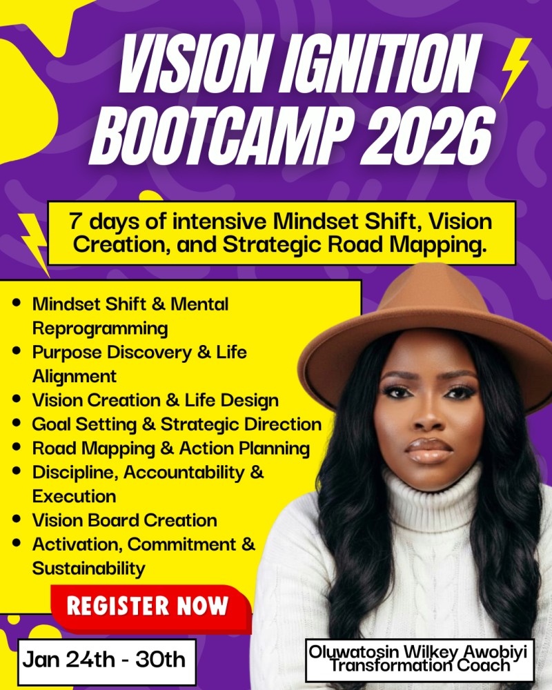 VISION IGNITION MENTORSHIP 2026