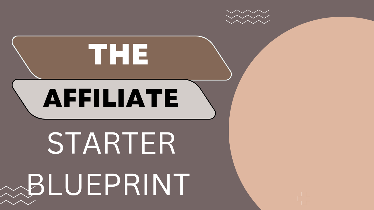 THE AFFILIATE STARTER BLUEPRINT