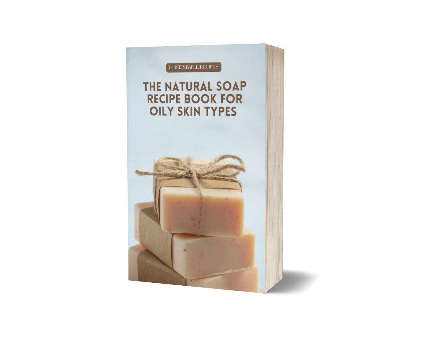 THE NATURAL SOAP RECIPE BOOK FOR OILY SKIN TYPES
