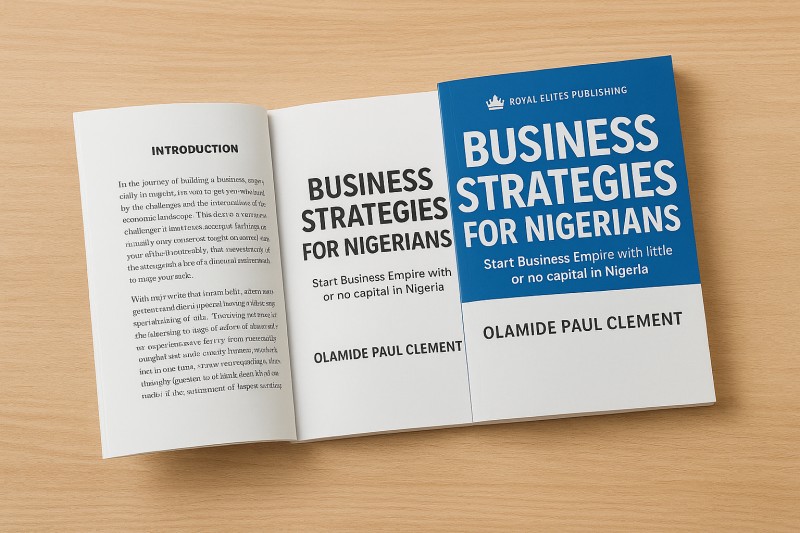 BUSINESS STRATEGIES FOR NIGERIAN'S