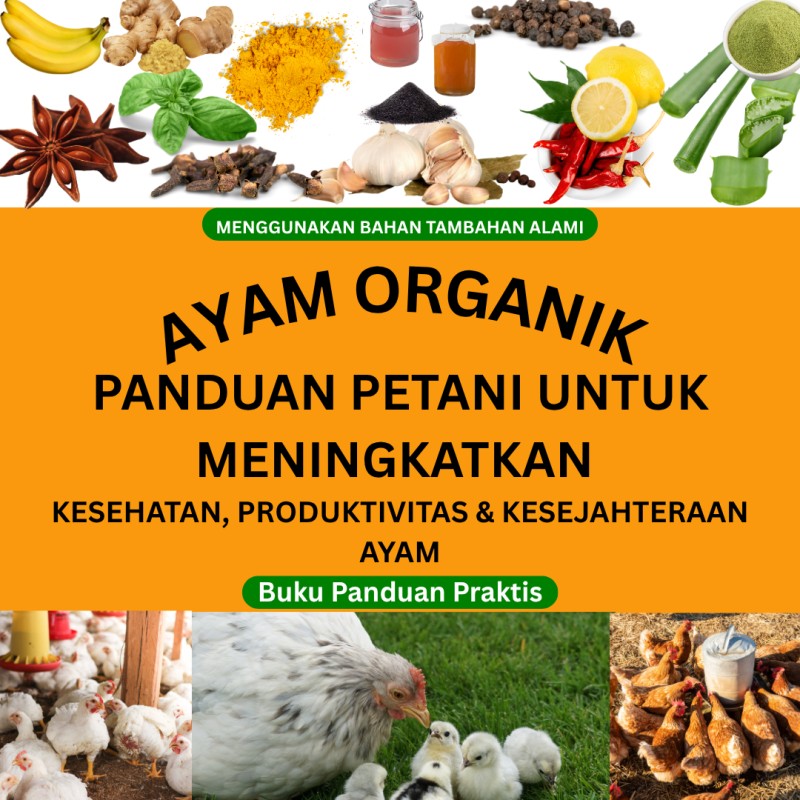 PANDUAN PETERNAK AYAM ORGANIK UNTUK MENINGKATKAN KESEHATAN, PRODUKTIVITAS & KESEJAHTERAAN AYAM Buku Panduan Praktis