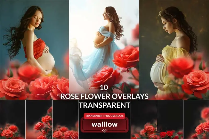 10 Rose Flower Overlays Transparent PNG (UQKTUVF)