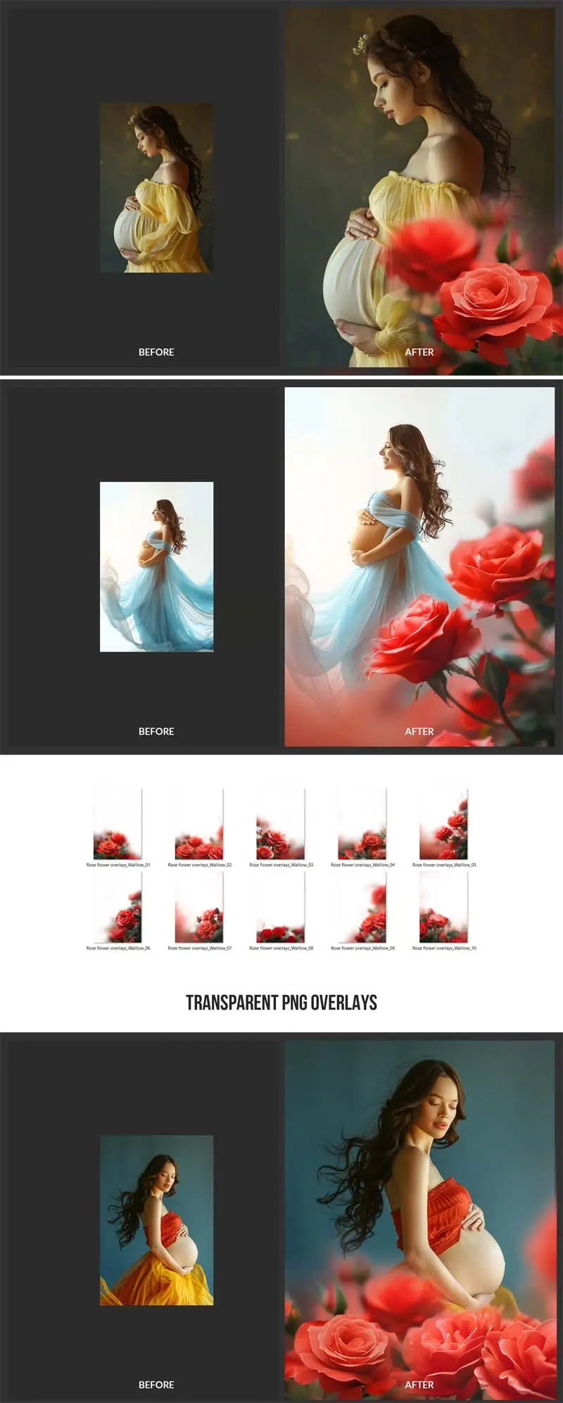 10 Rose Flower Overlays Transparent PNG (UQKTUVF)